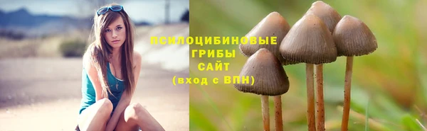 mdma Бежецк