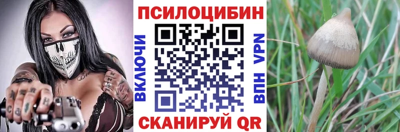 Псилоцибиновые грибы GOLDEN TEACHER Дзержинский