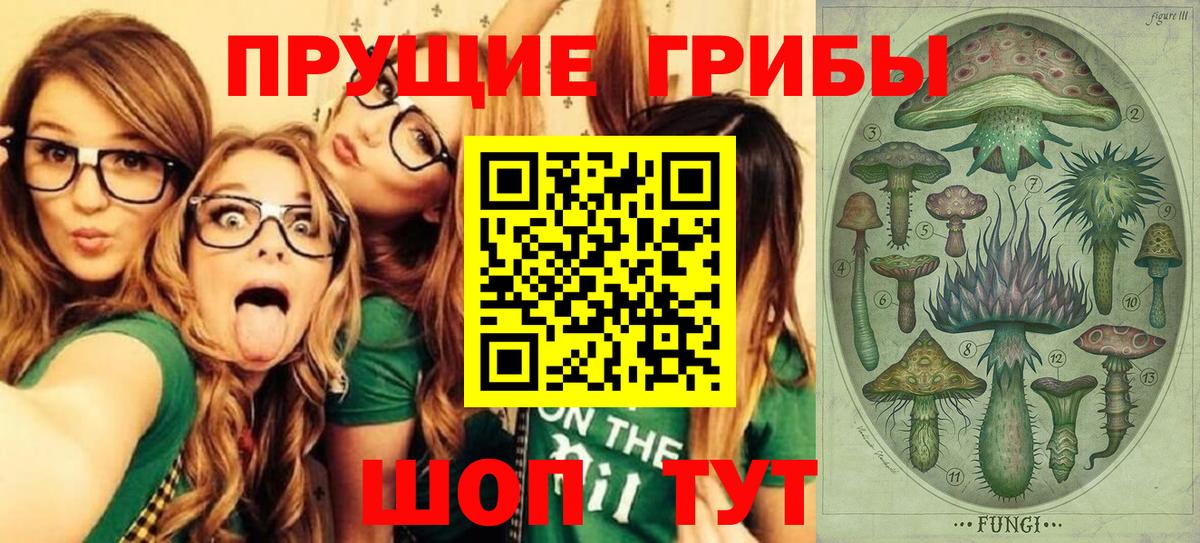 Дзержинский  Псилоцибиновые грибы прущие грибы  Вход с VPN 