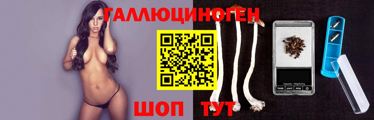 Галлюциногенные грибы прущие грибы  Дзержинский 